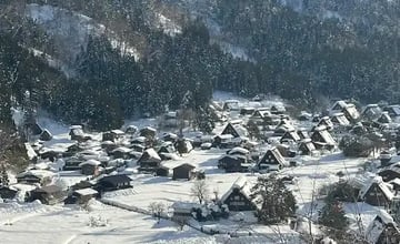 日本跟團進很多購物站是正常的嗎？想挑完全不進購物站的行程，怎麼挑、有哪些？