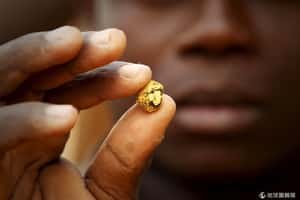 比毒品更賺錢 黃金成拉丁美洲血鑽石