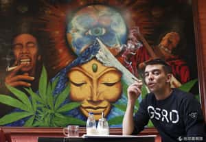 荷蘭人如何買大麻？【地球幫你問】荷蘭社會制度篇