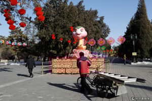 北京公園迎蛇年