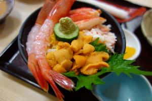 海膽剩不到 10顆 澎湖海膽傳全面消失