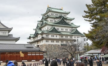 日本｜2026 名古屋城 交通門票、園區指南．最新情報