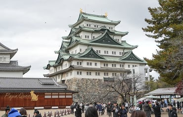 日本｜2026 名古屋城 交通門票、園區指南．最新情報
