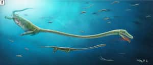 古生物學界首例！ 發現會懷孕的恐頭龍化石