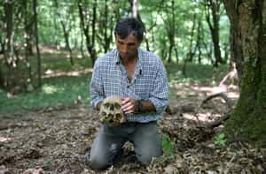 波士尼亞尋骨人  讓大屠殺受害者安息