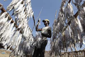 印孟邊界問題迎來雙贏結局