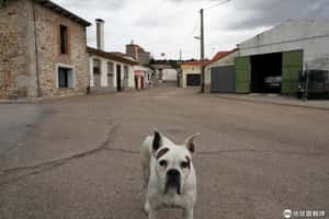 年輕人出走、老年人凋零 西班牙鄉村面臨空城危機
