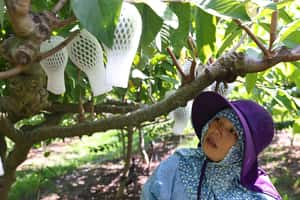 【地球 24小時】09/29 釋迦要往哪兒去？