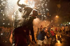 “火燒活牛”400年 西班牙惡習難制止