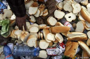 終結浪費 德用網路救剩食