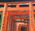 京都走一趟回來，伏見稻荷真的震撼到說不出話