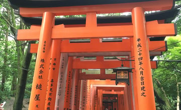 京都走一趟回來，伏見稻荷真的震撼到說不出話
