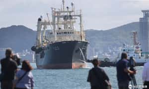 捕完收工！日本31年來第一艘商業捕鯨船滿載回港