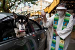 【地球 24小時】10/03 狗狗貓貓祈福得來速