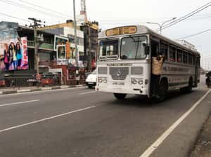 風塵僕僕的「斯」路一沙丁魚列車