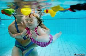 澳洲寶寶泳訓班