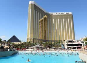 高溫衝破40度   賭城泳客找清涼