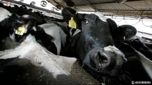 要如何靠 Big Data 養活飢餓的世界？