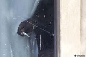 隱瞞接觸病患  美國伊波拉病男將被起訴