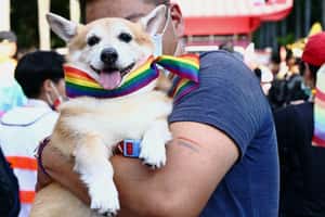 【地球 24小時】10/31  融化人心的彩虹