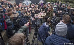 丹麥公開解剖動物：教育兒童