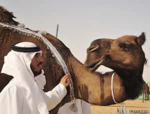 送官員出國學「快樂」  阿拉伯聯合大公國幸福政策