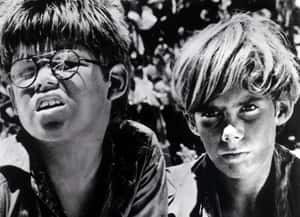 不一樣的《蒼蠅王》：六名東加少年漂流荒島後，發生什麼事？