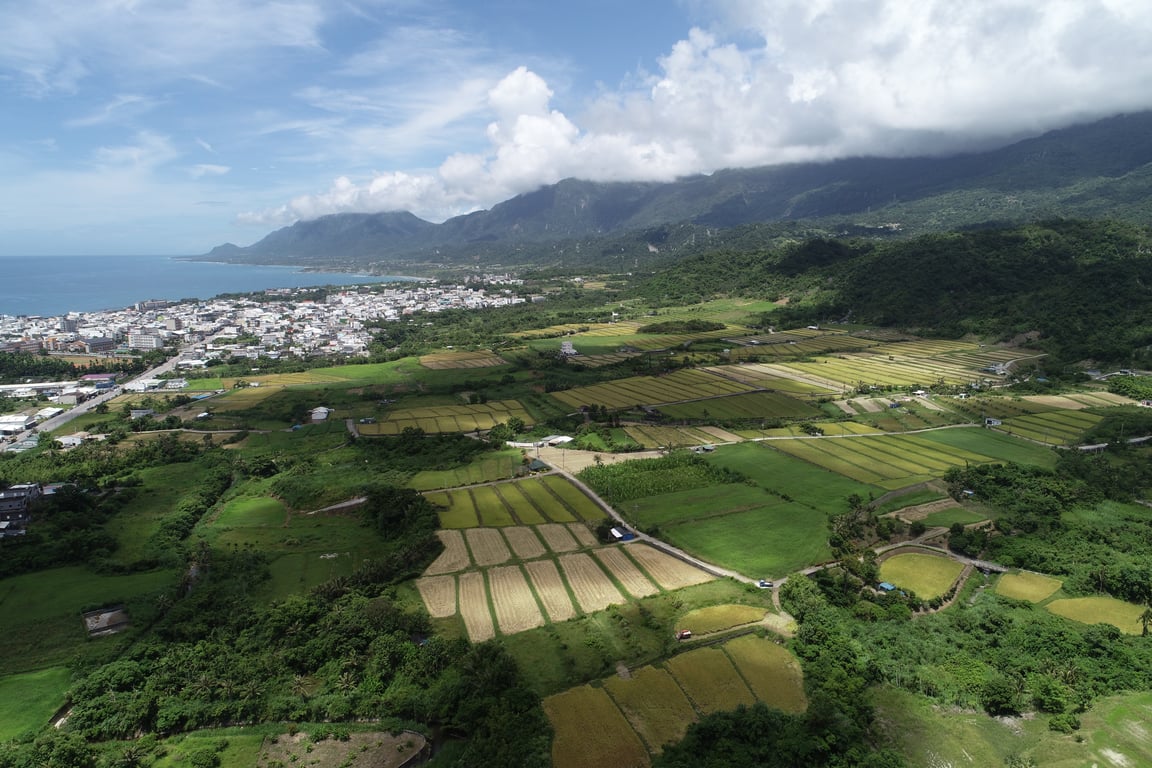 臺東稻作進入收割期　環保局籲農民勿焚燒稻草守護空氣品質