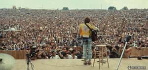 永恆的愛與和平！色彩斑斕的胡士托音樂節