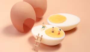 新加坡地小人稠力拚科技產蛋　全自動作業雞蛋產量直直衝