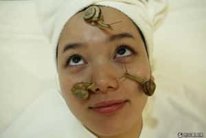 追求健康美  怪奇療癒特輯