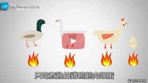3分鐘看懂讓全台11縣市淪陷的禽流感