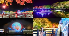 台南｜2025新營波光節：環湖漫遊8組夢幻作品，必看湖中央大型水幕投影，台南最新燈節閃耀登場！