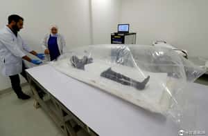 【天涼好個秋的地球 24小時】09/21   塑膠袋中的木乃伊