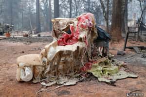 兩年內五次撤離警報 美國加州居民現「撤離疲勞」