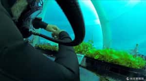 海底農場成真！水中溫室「尼莫的花園」能紓解糧食危機？
