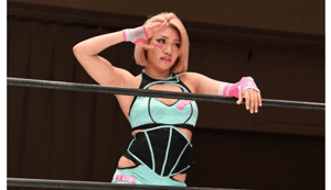 加重刑罰遏止網路霸凌  日本國會通過「木村花條款」