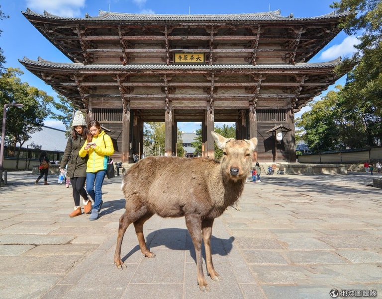 文章插圖