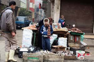 「牛奶與蜜之地」的美夢遙遙無期  埃及拓展新谷地計畫失效