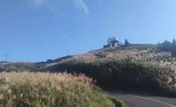 【遊記】觀賞「芒草」絕佳的秘境，道路終點是座雷達站，五分山氣象雷達站 - 大漠國渡