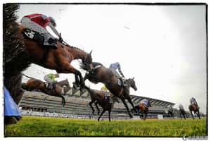 上流社會年度盛事       英國賽馬季場內外都吸睛