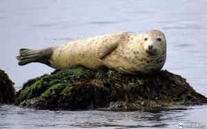 【用這個姿態過連假的地球 24小時】09/12 一個悠悠哉哉的瞬間