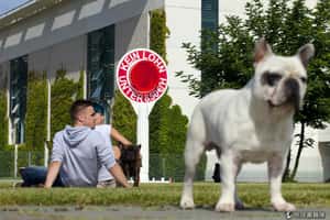 德國敲定最低薪每小時346元