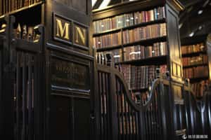 2013何處去系列(六)：美麗圖書館巡禮