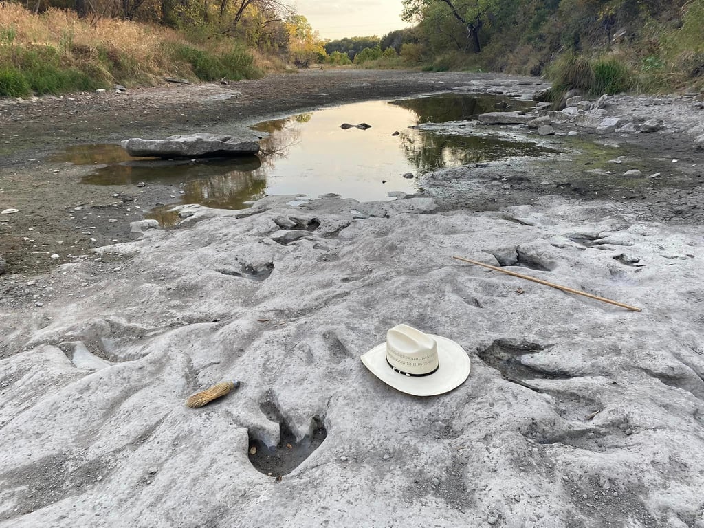 「原來你也在這裡！」美國德州河床乾涸，1億年前恐龍足跡重見天日