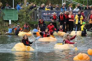 搭不了南瓜馬車沒關係！比利時人教你來場「划南瓜大賽」