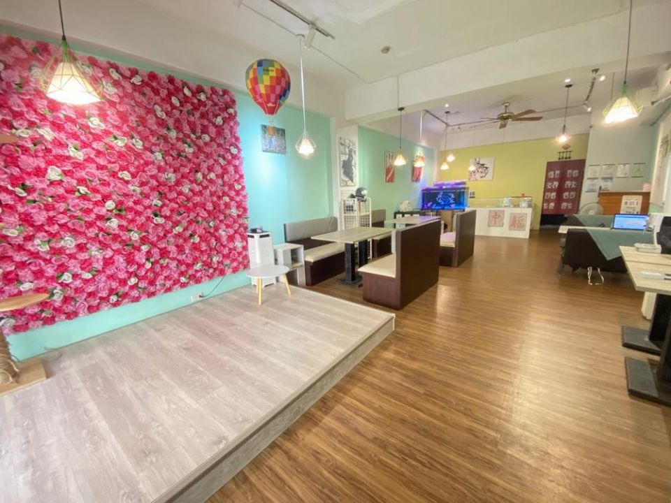 愛不止步！嘉市攜手米克斯寵物友善餐廳 打造幸福認養新據點