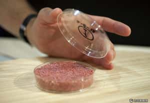 日本精進肉計畫  讓高中生也做得出細胞培養肉