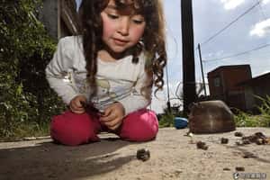 研究：蝸牛比你想像快得多