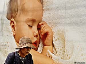 日本黑寡婦案挑起高齡社會危機